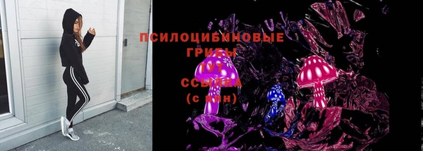 соль курить ск Белокуриха