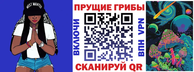 Псилоцибиновые грибы Psilocybe даркнет сайт Мглин